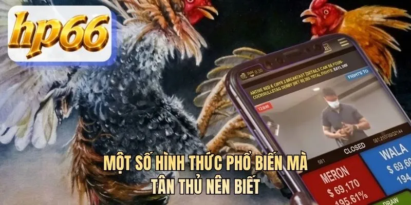 Một số hình thức phổ biến mà tân thủ nên biết